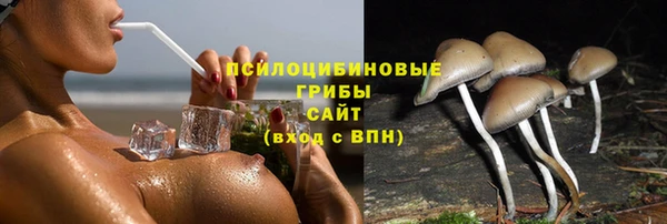 PSILOCYBIN Балабаново