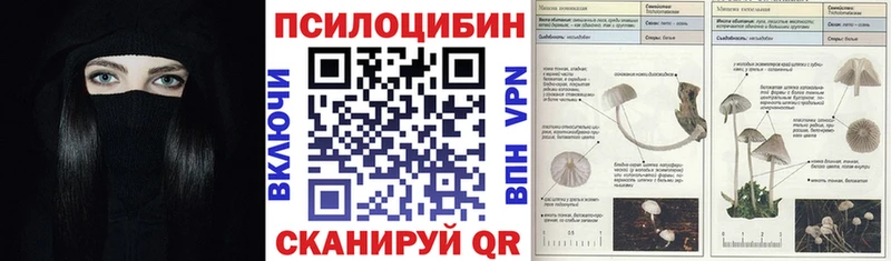 Псилоцибиновые грибы прущие грибы  Долгопрудный 